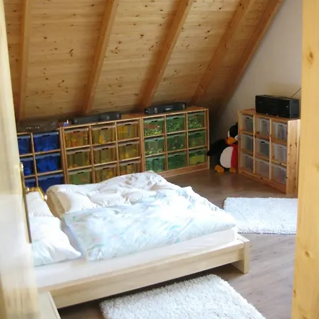 Domus
