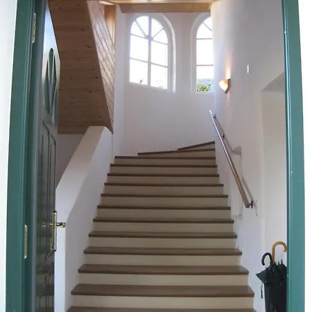Domus *